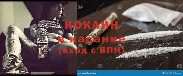эйфоретик Кропоткин