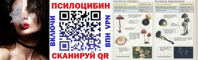 Псилоцибиновые грибы ЛСД  Мончегорск 