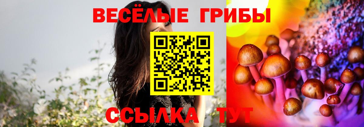 Мончегорск  Псилоцибиновые грибы мухоморы  Вход с VPN 